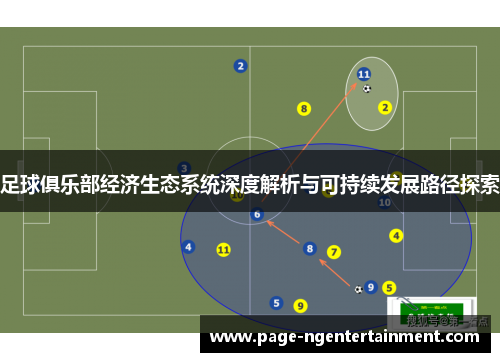 足球俱乐部经济生态系统深度解析与可持续发展路径探索