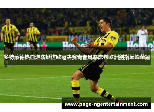 多特蒙德热血逆袭挺进欧冠决赛青春风暴席卷欧洲剑指巅峰荣耀